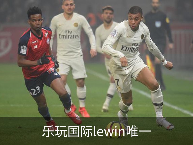 LEWIN·乐玩-(中国唯一)官方网站